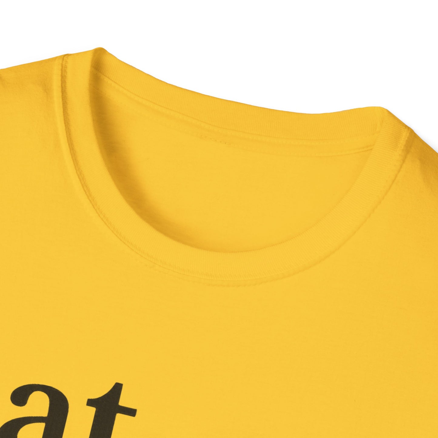 Cat Definition Panther T-Shirt