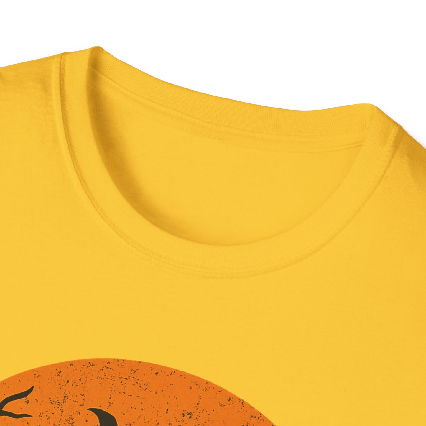 Full Moon Halloween Cat