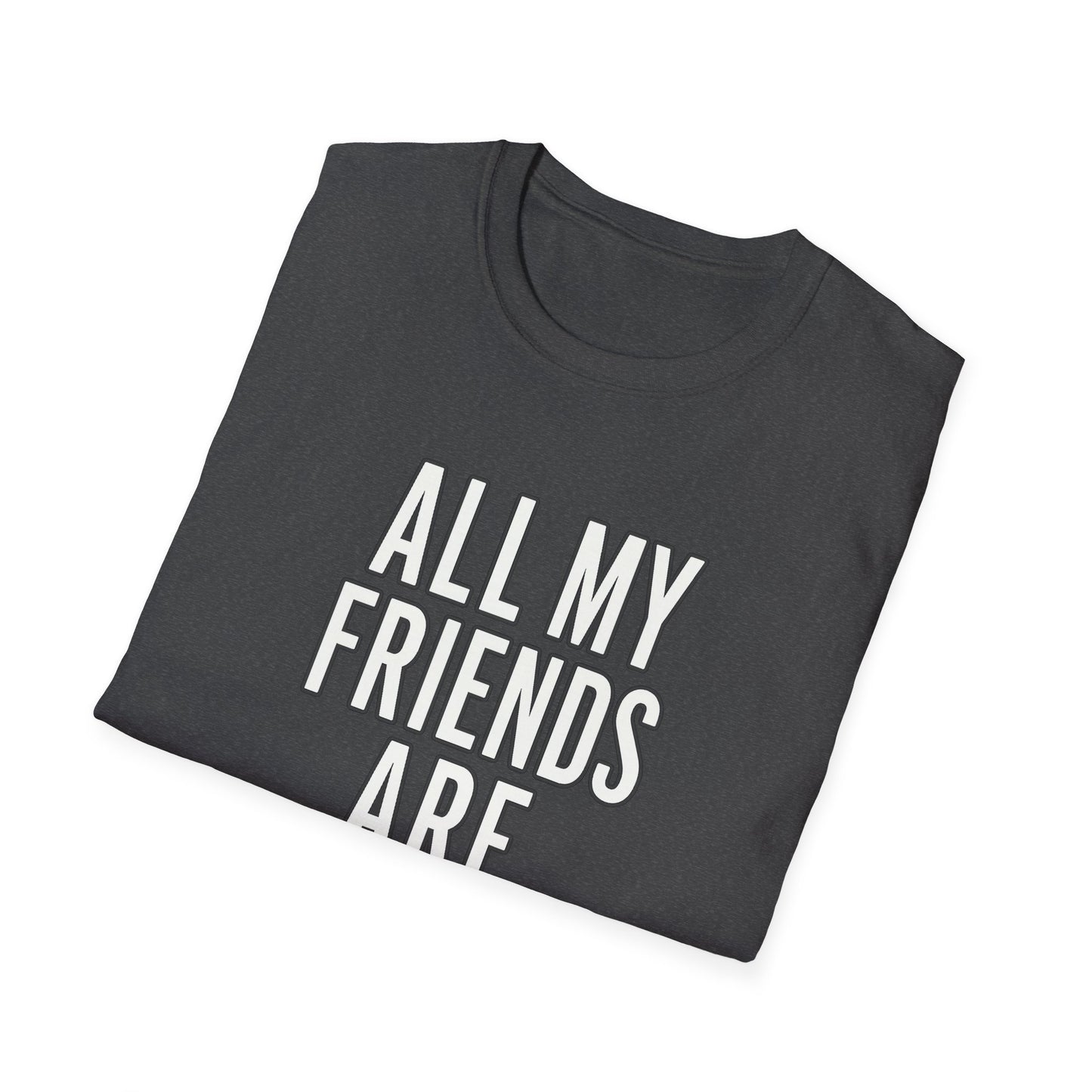 All My Friends Cat T-Shirt