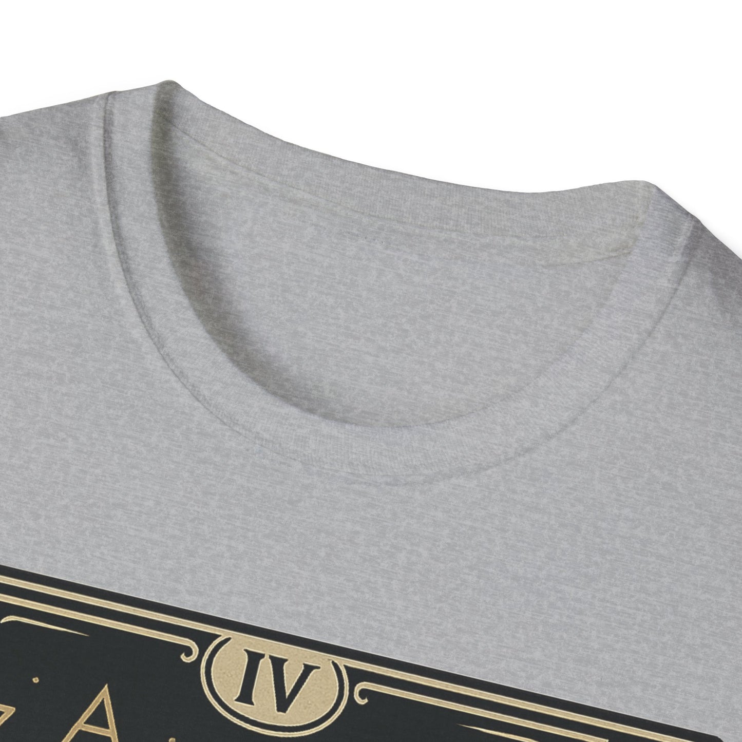 Tarot Cat Fortune Keeper T-Shirt