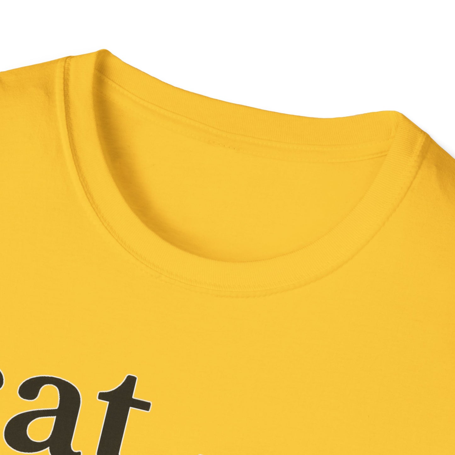 Cat Defintion Roommate T-Shirt