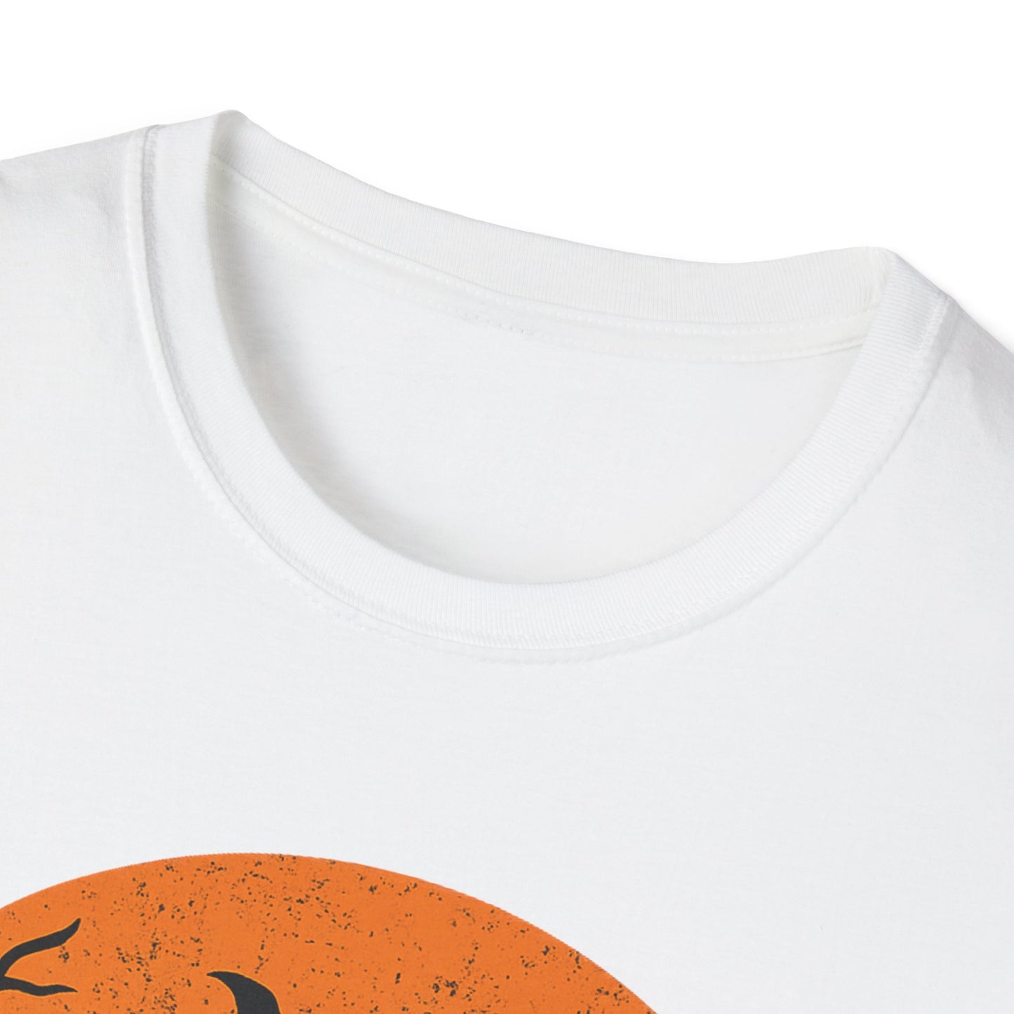 Full Moon Halloween Cat