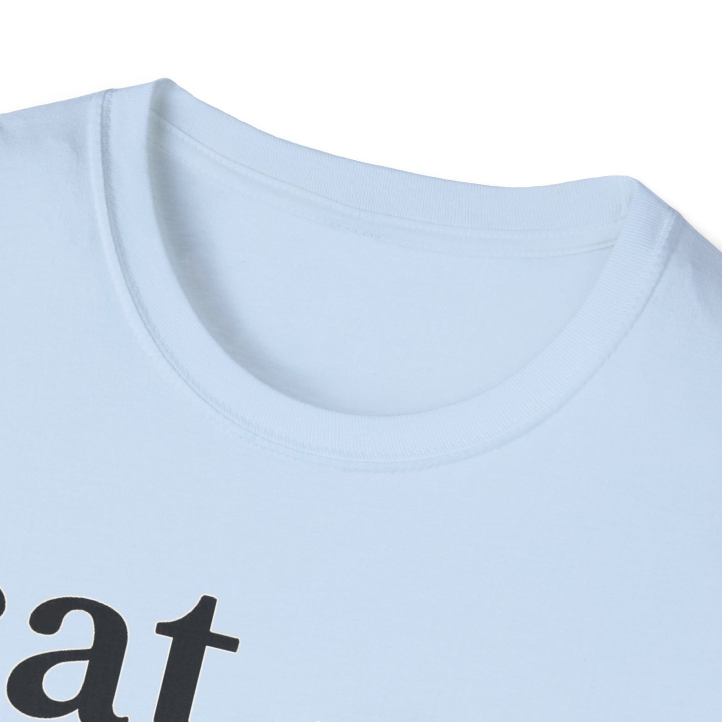 Cat Defintion Roommate T-Shirt