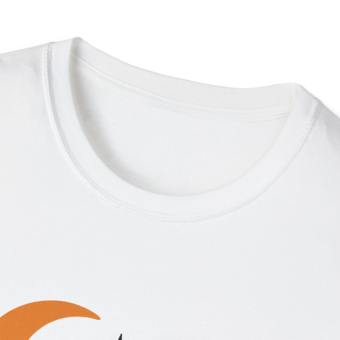 Halloween Cat Flight Prep