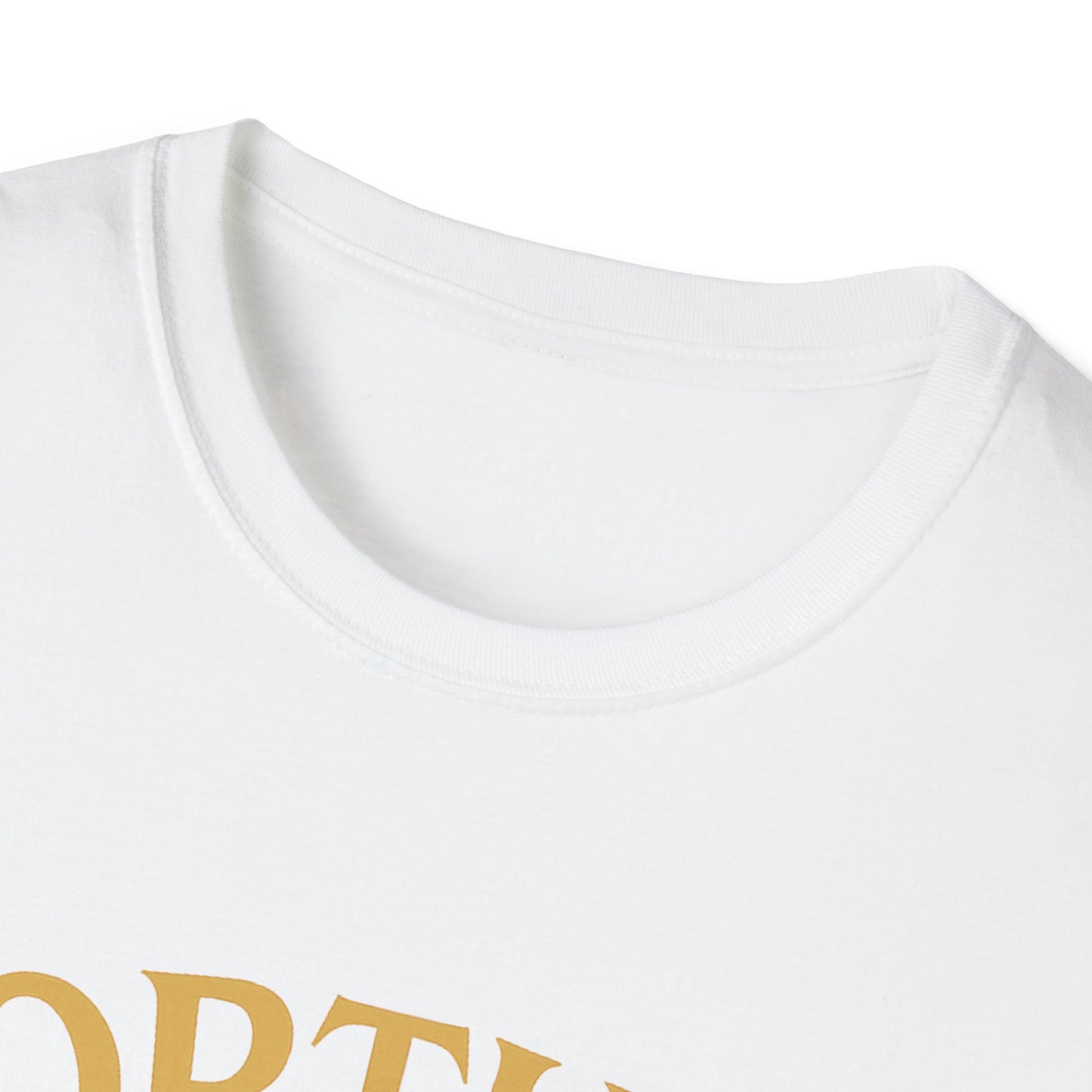 Fortune Favors Cat T-Shirt