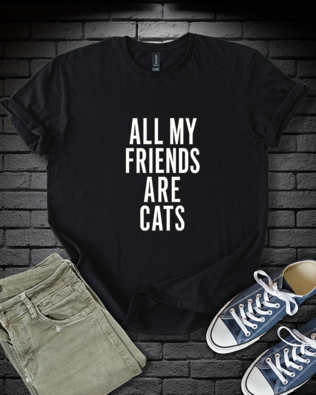 All My Friends Cat T-Shirt