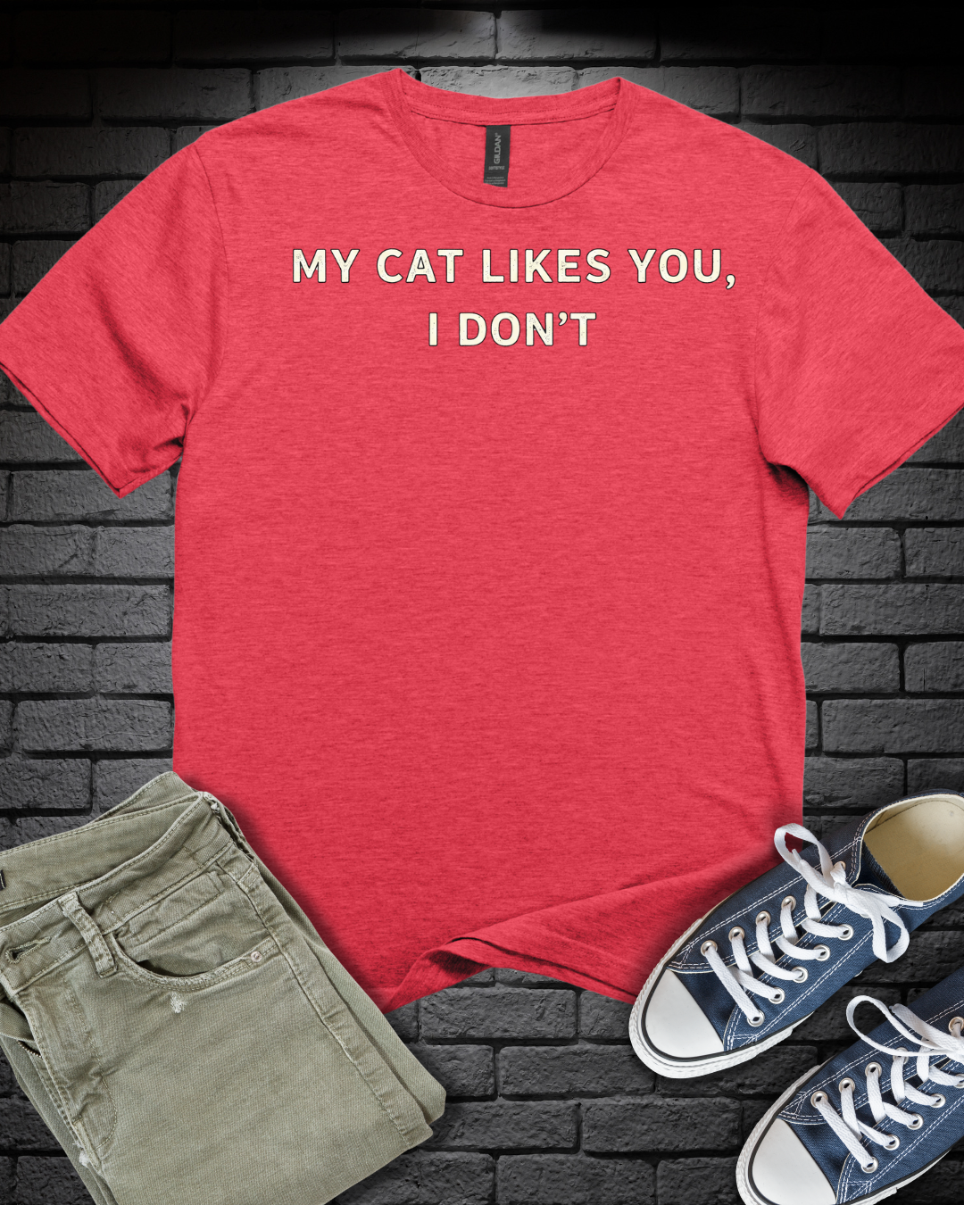 My Cat Likes You T-Shirt