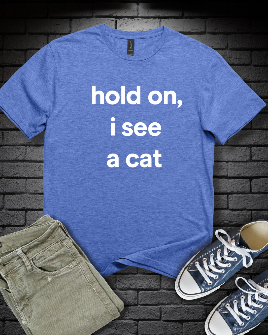 Hold On Cat T-Shirt