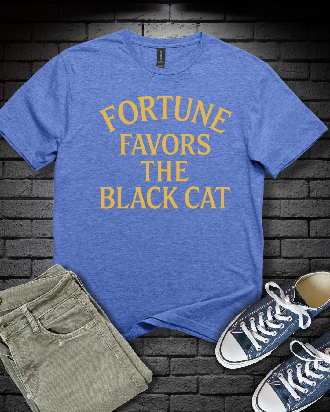 Fortune Favors Cat T-Shirt