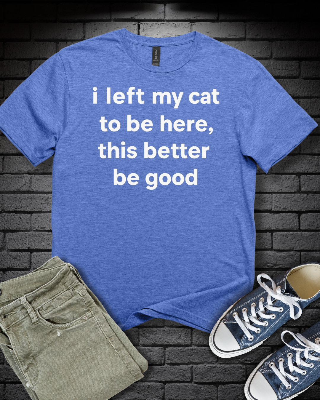 Left My Cat T-Shirt